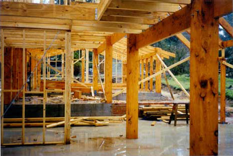 wet cypress macrocarpa