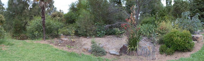 raised bed and rocks