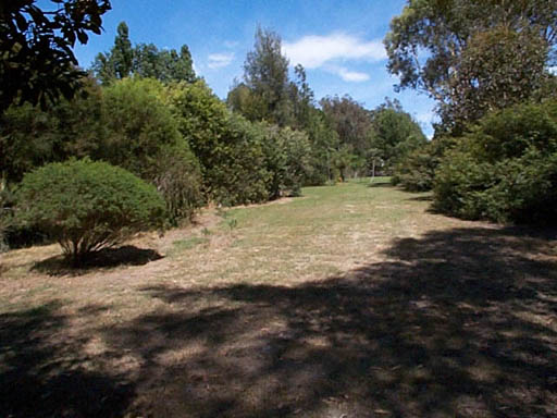 duckpond garden