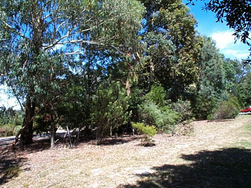 duckpond garden