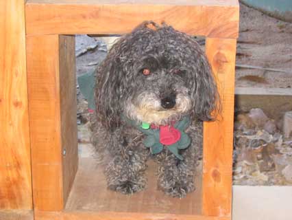 millie in her door
