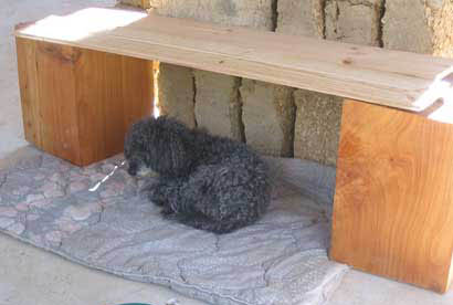 millie in her house