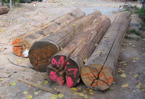 radially sawn logs