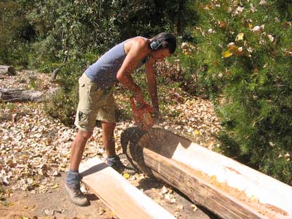 freeing the boards